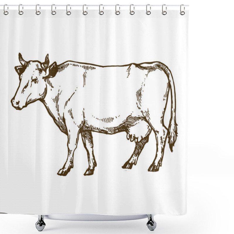 Personality  Cow Isolated On White Background Hand Drawn Line Art Stock Vector Illustration For Coloring Book Page Shower Curtains