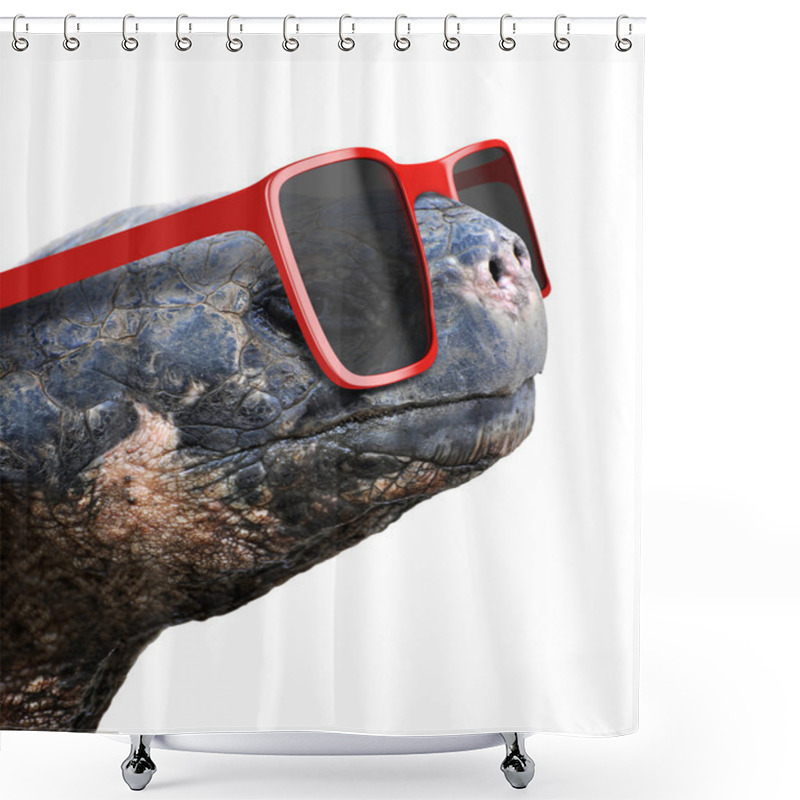 Personality  Funny Animal Portrait Of An Old Galapagos Tortoise With Big Red Nerdy Sunglasses Shower Curtains