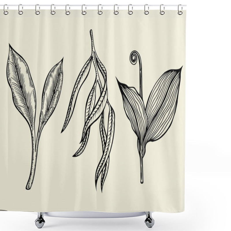 Personality  Hand Drawn Ink Sketch Spring Branches Shower Curtains