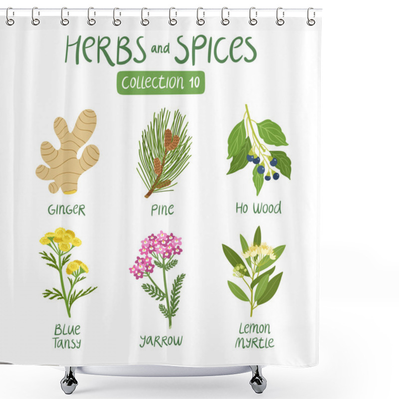 Personality  Herbs And Spices Collection 10 Shower Curtains