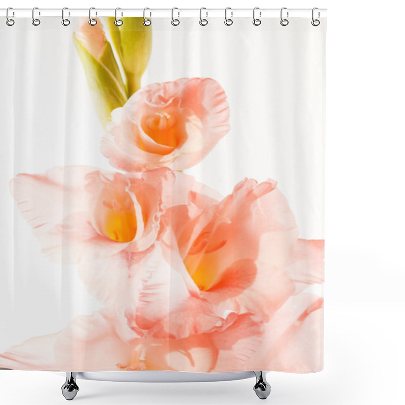 Personality  Pink Gladiolus On White Shower Curtains