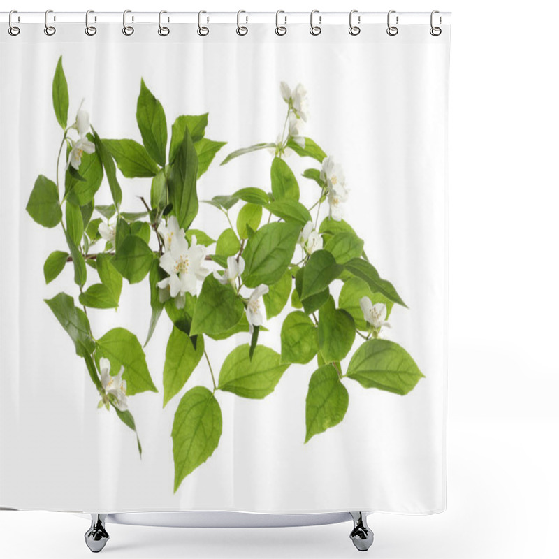 Personality  Branch Of Beautiful Jasmine Plant On White Background Shower Curtains