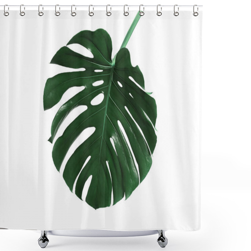 Personality  Beautiful Monstera Leaf On White Background. Tropical Plant Shower Curtains