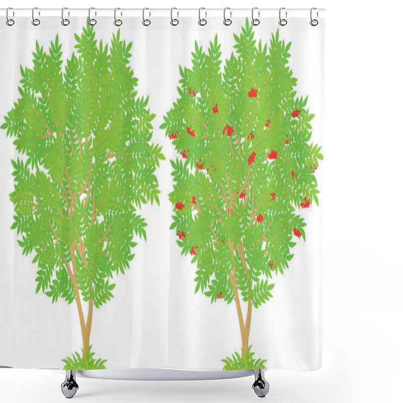 Personality  Rowan Tree Shower Curtains