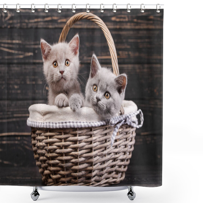 Personality  Two Playful Kittens In The Basket. . Kitten Put His Head On The Edge Of The Basket. Purebred Kittens At The Photo Studio. On A Black Background Shower Curtains