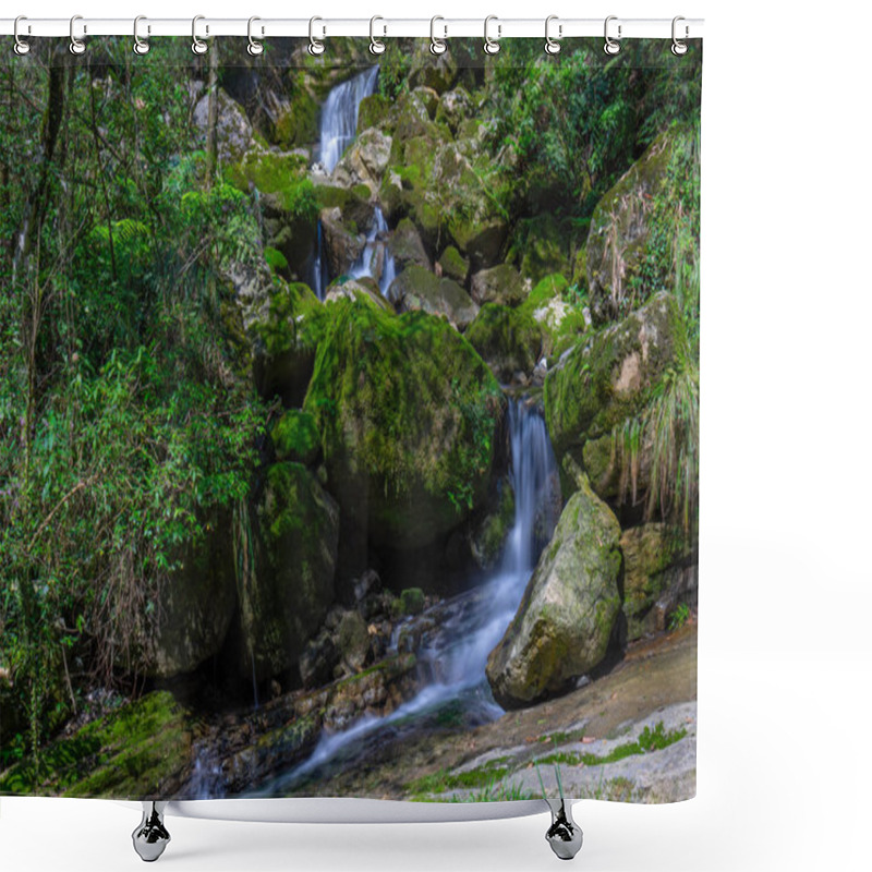 Personality  Summer Scenery Of The Three Gorges Sea Of Bamboo In Yichang, Hubei Shower Curtains