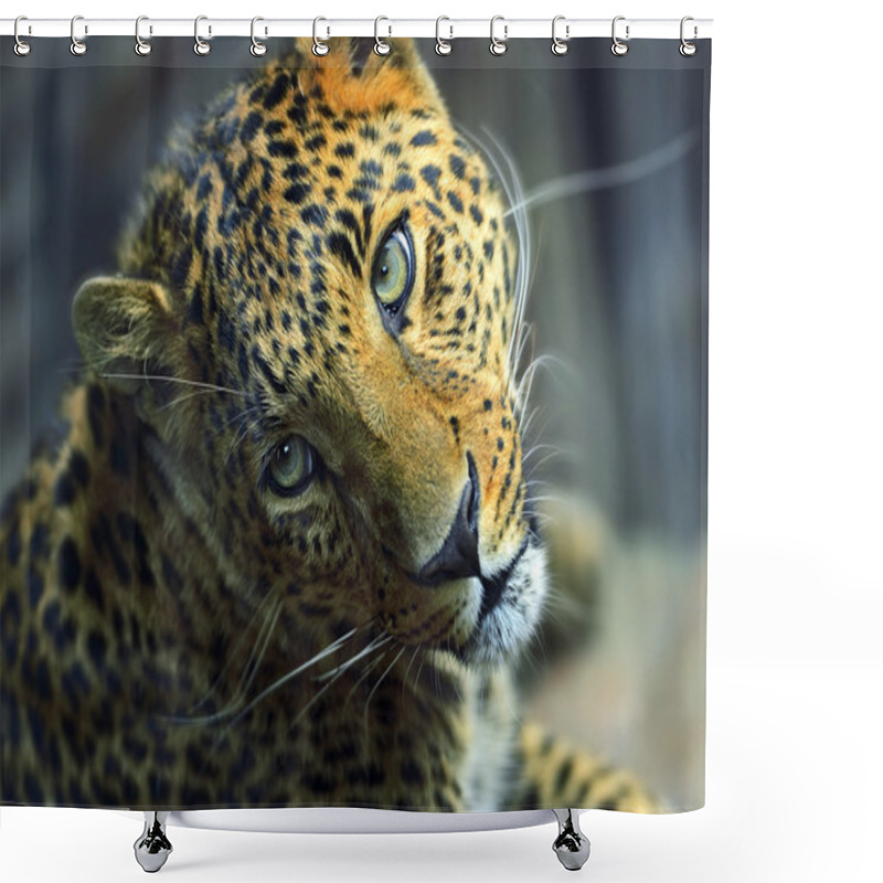 Personality  Leopard Shower Curtains