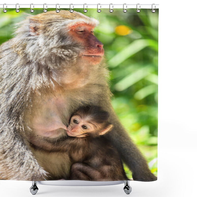 Personality  Monkey Mother And Baby In Natural Shower Curtains