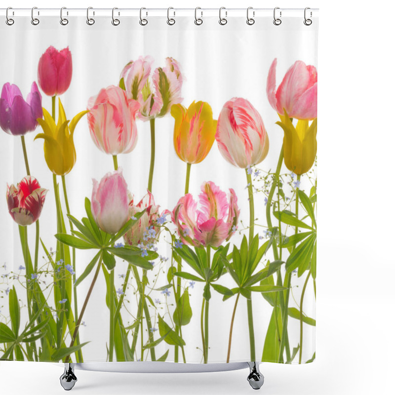 Personality  Fragile Tulips And Leaves Shower Curtains