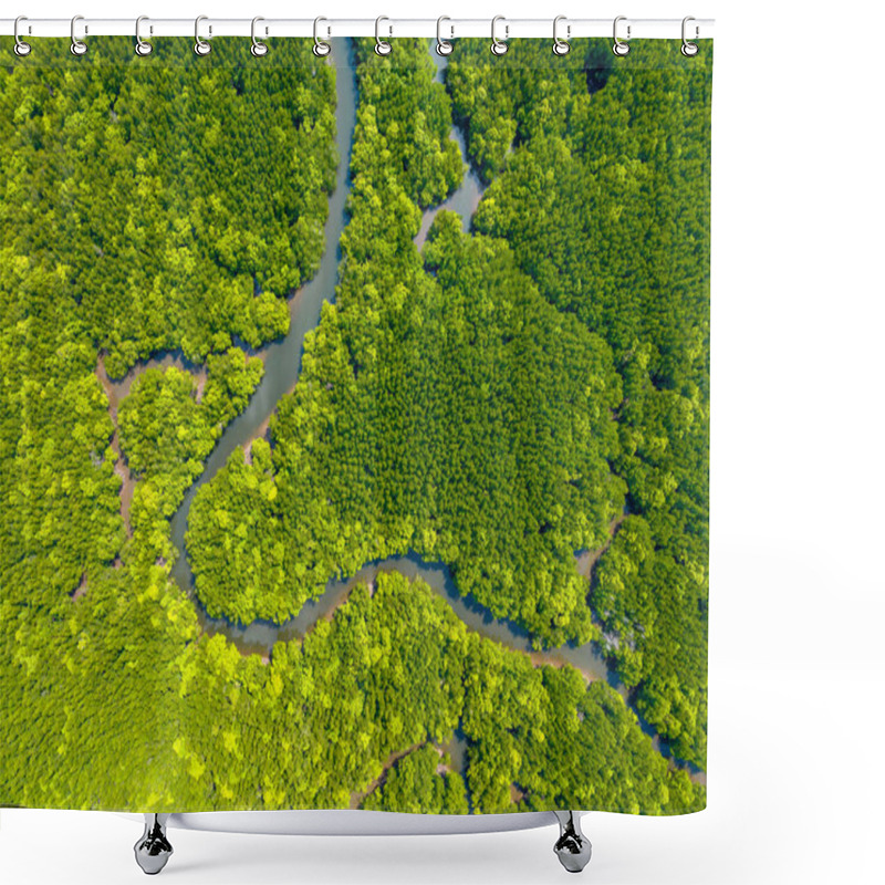 Personality  Amazing Abundant Mangrove Forest, Aerial View Of Forest Trees Rainforest Ecosystem And Healthy Environment Background, Texture Of Green Trees Forest Top Down, High Angle View Shower Curtains