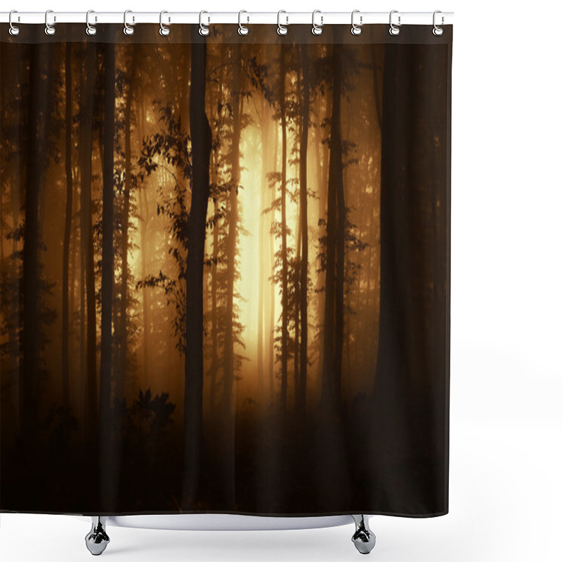 Personality  Dark Forest At Sunset With Fog Shower Curtains