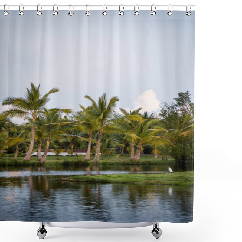 Personality  Palm Trees In The Caribbean Shower Curtains