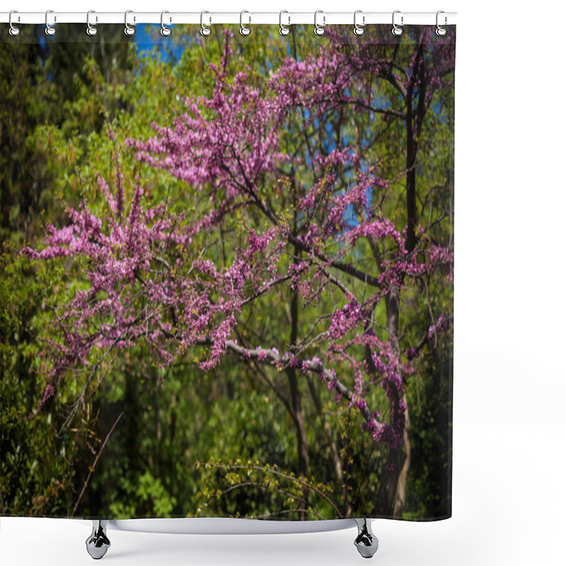 Personality  Branches Of Blossoming Pink Tree Shower Curtains