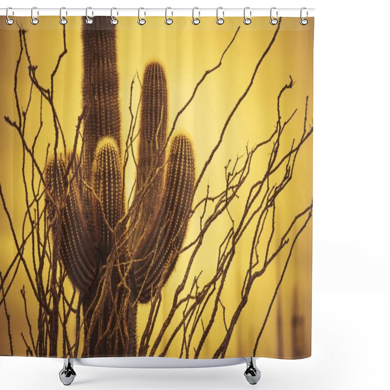 Personality  Champion Saguaro Arizona Shower Curtains