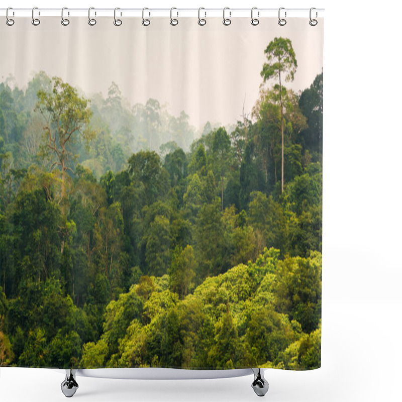 Personality  Tropical Rainforest,Khao Yai National Park Thailand Shower Curtains