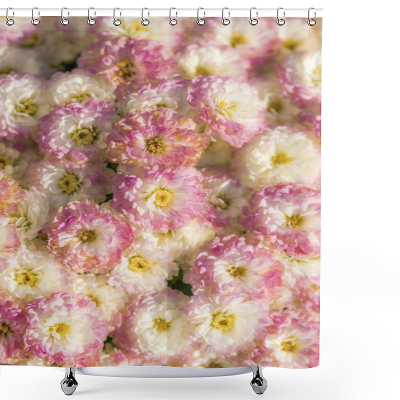 Personality  Beautiful Pink And White Flowers In Full Bloom, Creating A Vibrant Floral Display. Shower Curtains