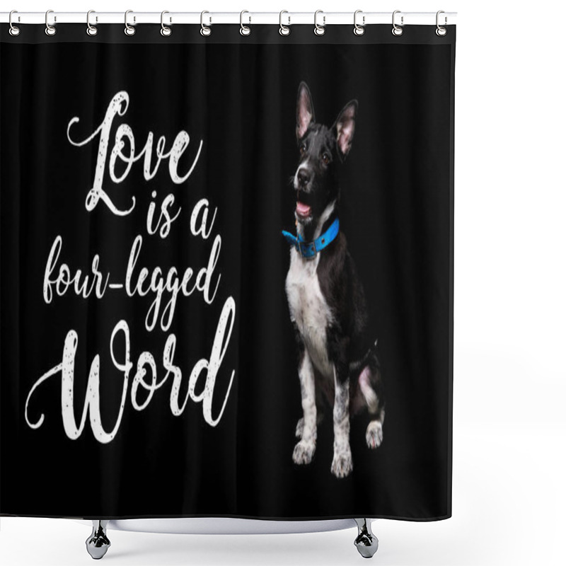 Personality  Dark Mongrel Dog In Blue Collar Near Lettering Love Is A Four-legged Word Isolated On Black Shower Curtains