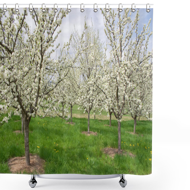 Personality  Apple Orchard Shower Curtains