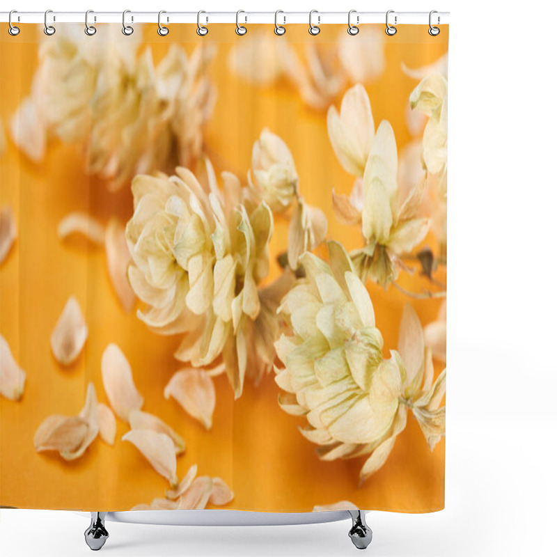 Personality  Close Up View Of Twig With Hop Seed Cones Near Petals Isolated On Yellow Background Shower Curtains