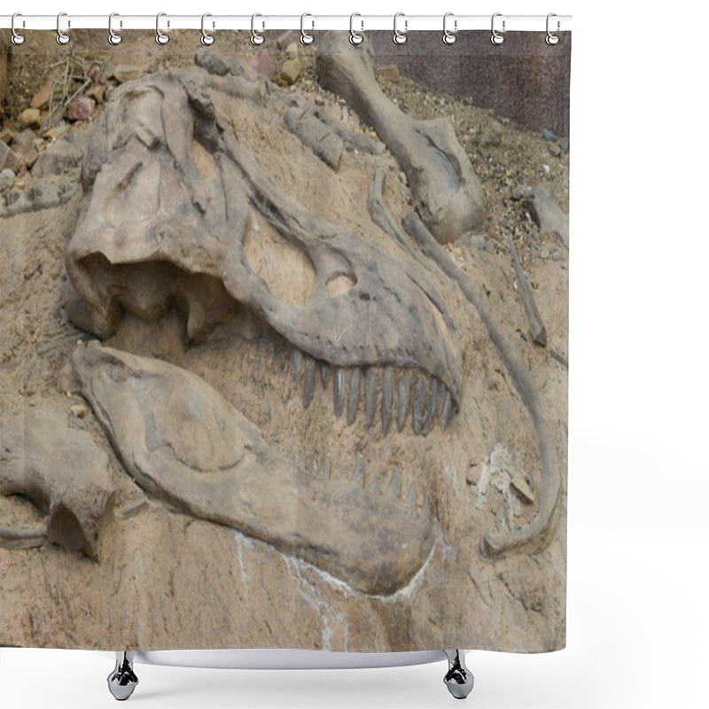 Personality  Dinosaur Fossil Shower Curtains