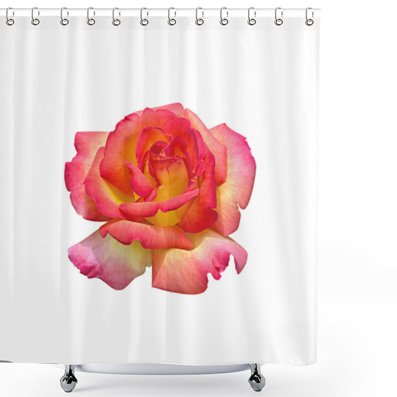 Personality  Beautiful Pink Rose Isolated On A White Background Shower Curtains