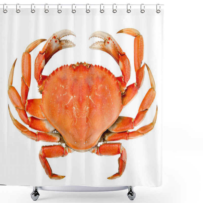 Personality  Isolated Whole Dungeness Crab Shower Curtains