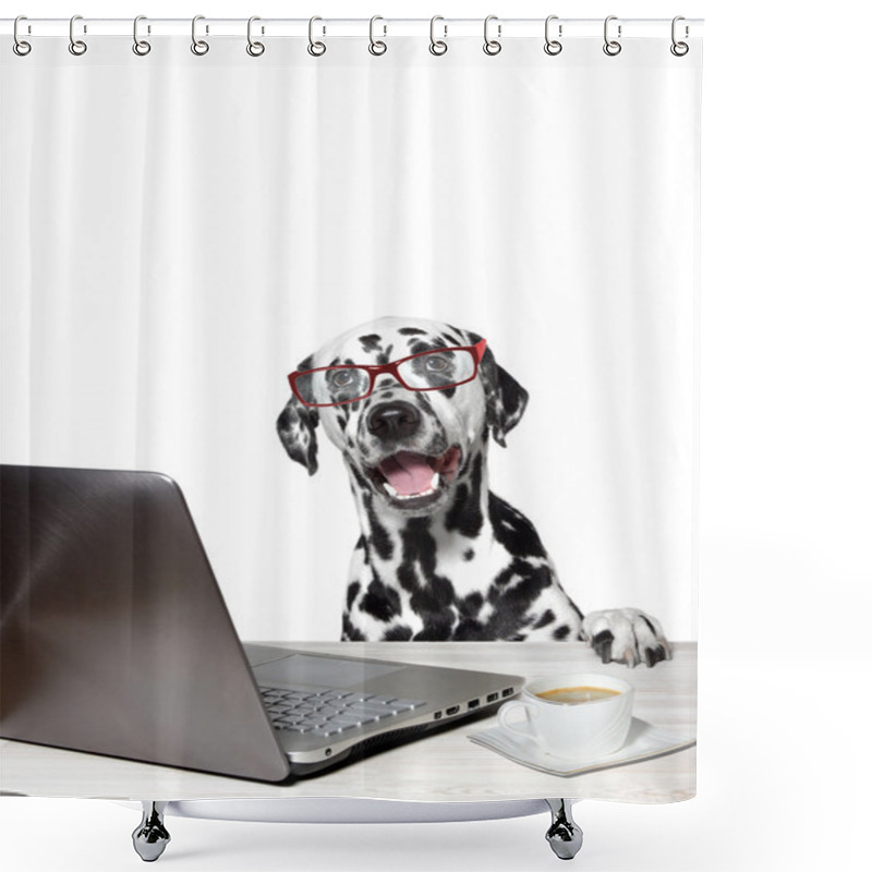 Personality  Dalmatian Works At A Laptop Shower Curtains