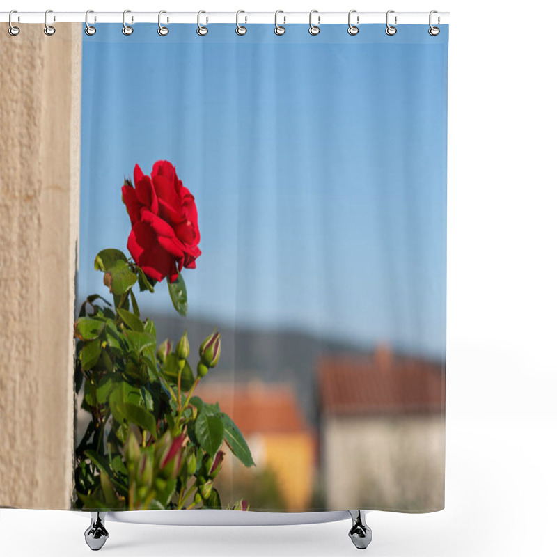 Personality  Red Rose Climbing On A Wall Of A House Shower Curtains