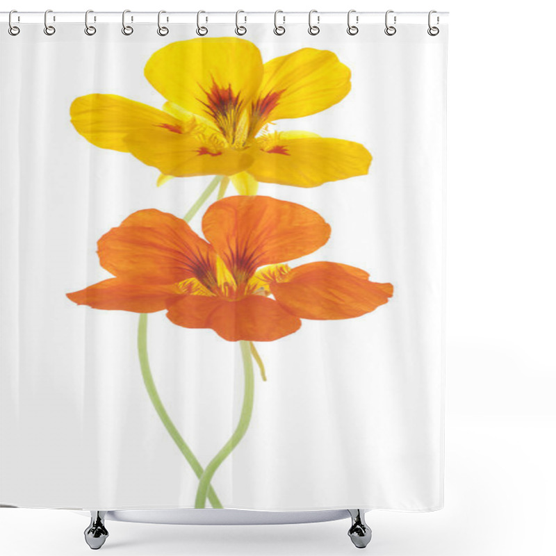 Personality  Nasturtium Shower Curtains