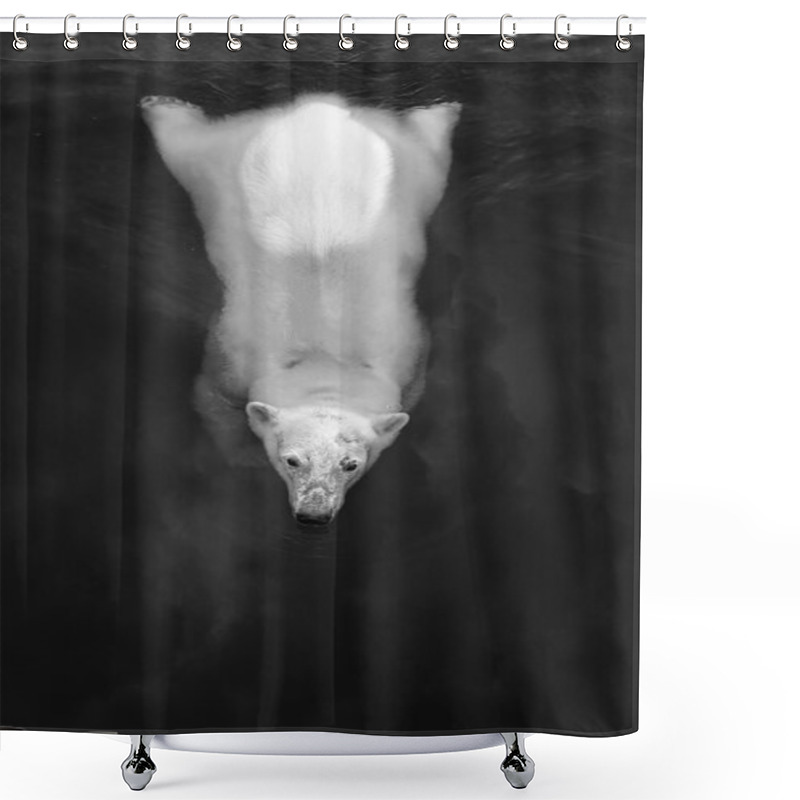 Personality  White Bear In Water Shower Curtains