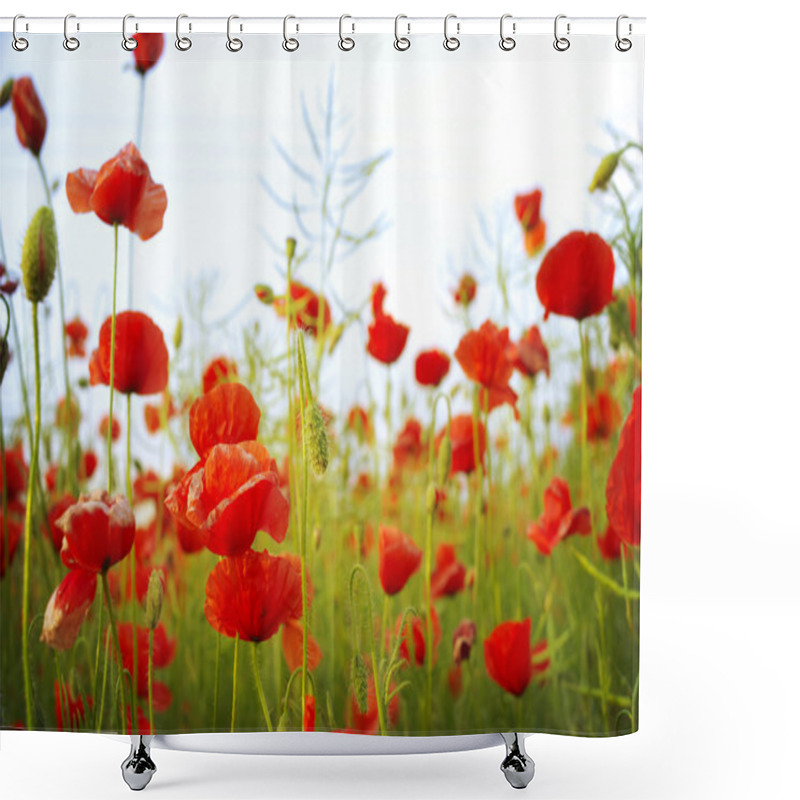 Personality  Red Poppies Shower Curtains