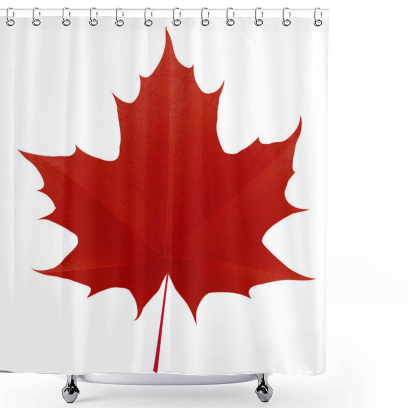 Personality  Realistic Red Maple Leaf Isolated On White Background Shower Curtains