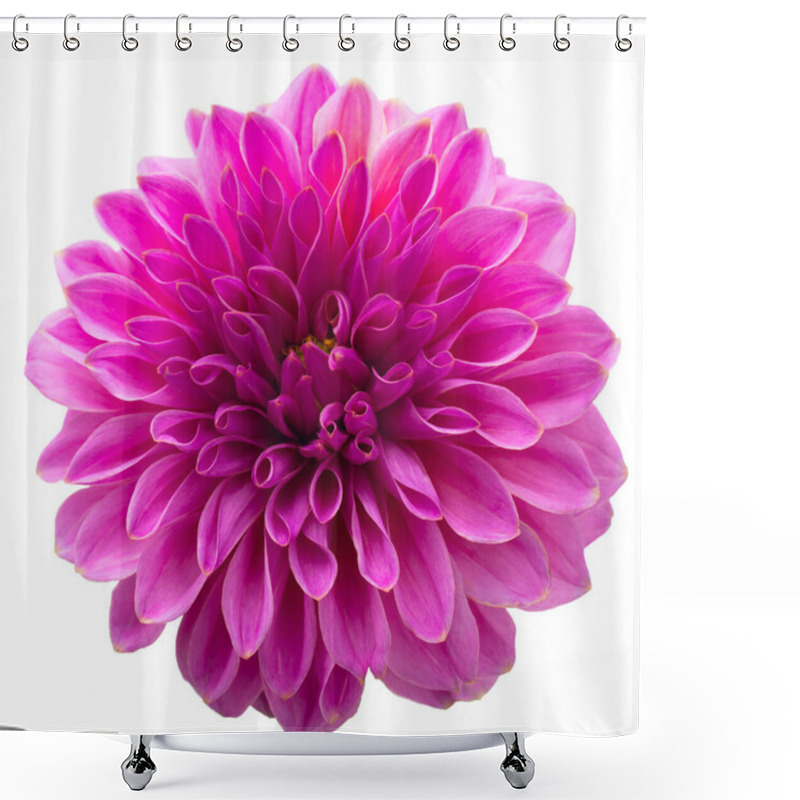 Personality  Purple Autumn Dahlias On White Background. Copy Space. Isolated On White Shower Curtains