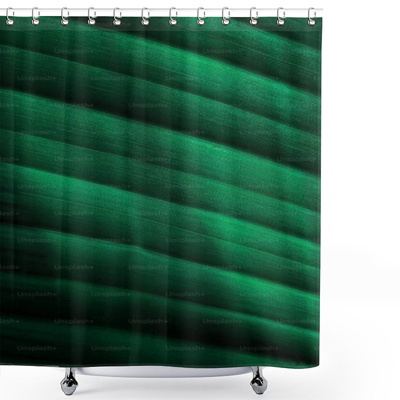 Personality  Elegant Green Leaf Texture With Rich Hues And Smooth Lines. Shower Curtains