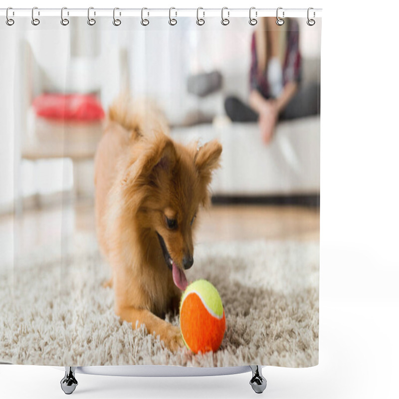 Personality  Beautiful Young Woman With Her Dog Playing With Ball At Home. Shower Curtains