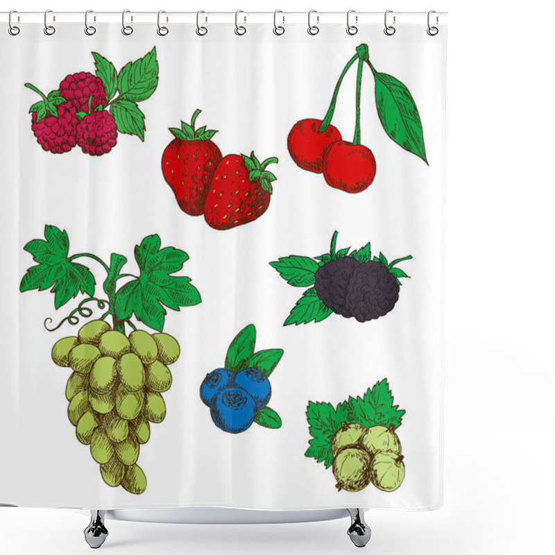 Personality  Fragrant Fresh Fruits And Berries Sketch Symbols Shower Curtains