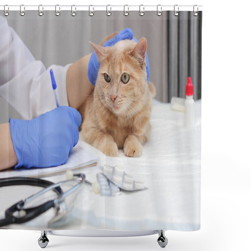 Personality  At The Vet's. A Red Cat Is Being Examined By A Veterinarian. Prescribing Treatment For Pets. Shower Curtains