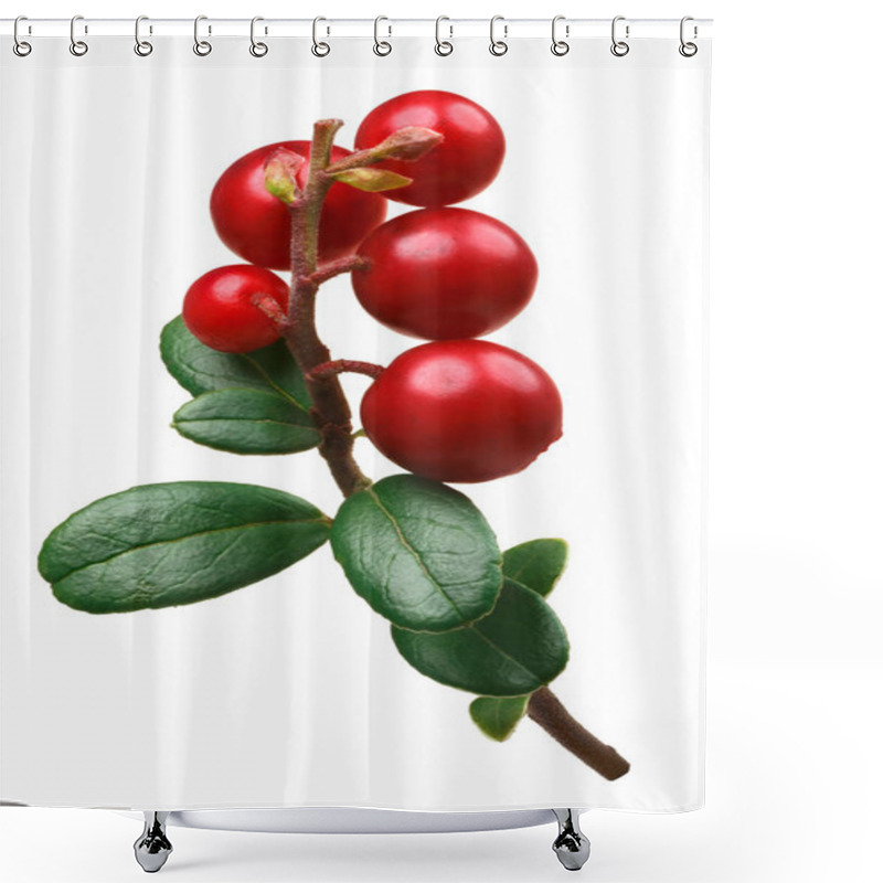 Personality  Lingonberry Vaccinium Vitis-idaea, Paths Shower Curtains