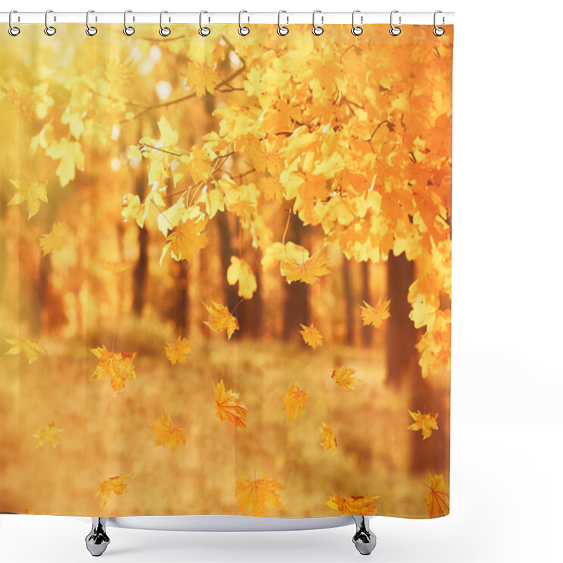 Personality  Beautiful Autumn Foliage Background. Shower Curtains