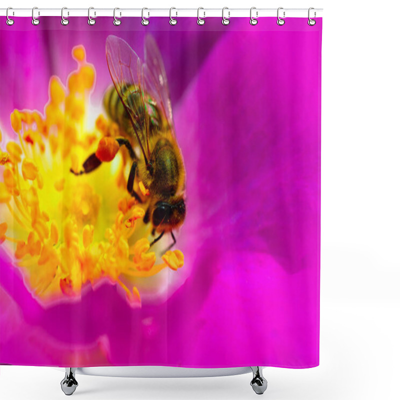 Personality  Bee On A Flower Close Up. Spring Single Daisy Flower And Bee. Beautiful Pink Dog-rose On Spring Field And Flying Bumblebee In Nature Macro On Soft Light Background. Concept Spring Summer. Shower Curtains