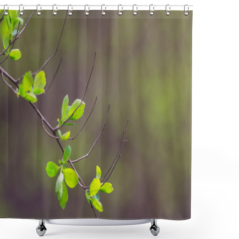 Personality  Nature Easters Background Shower Curtains