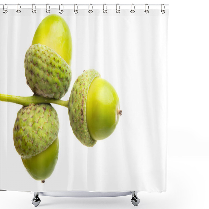 Personality  Green Acorns Isolated  Shower Curtains