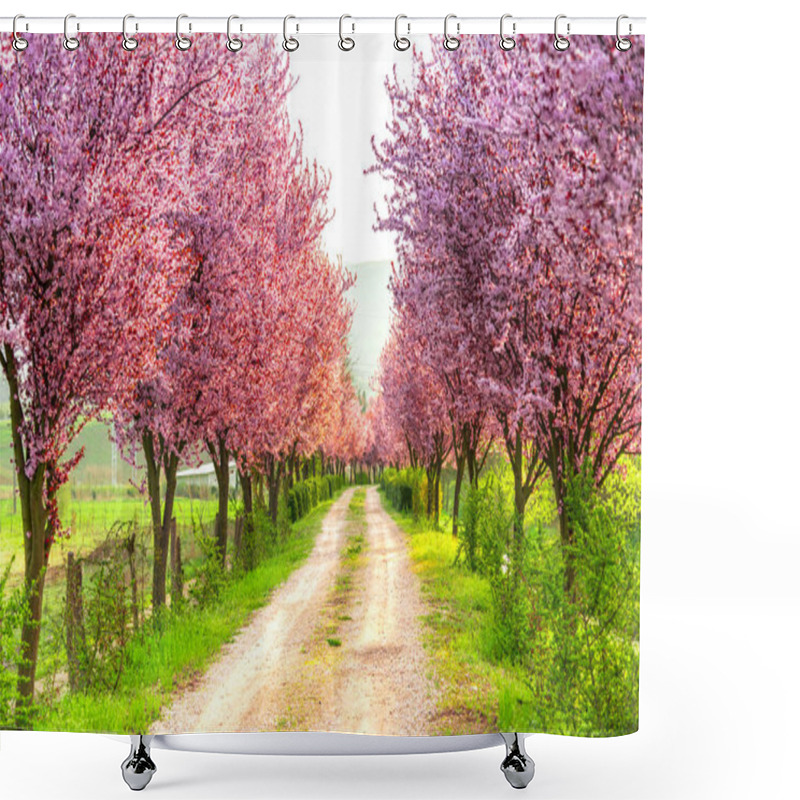 Personality  Springtime Landscape In A Sunny Day  Shower Curtains