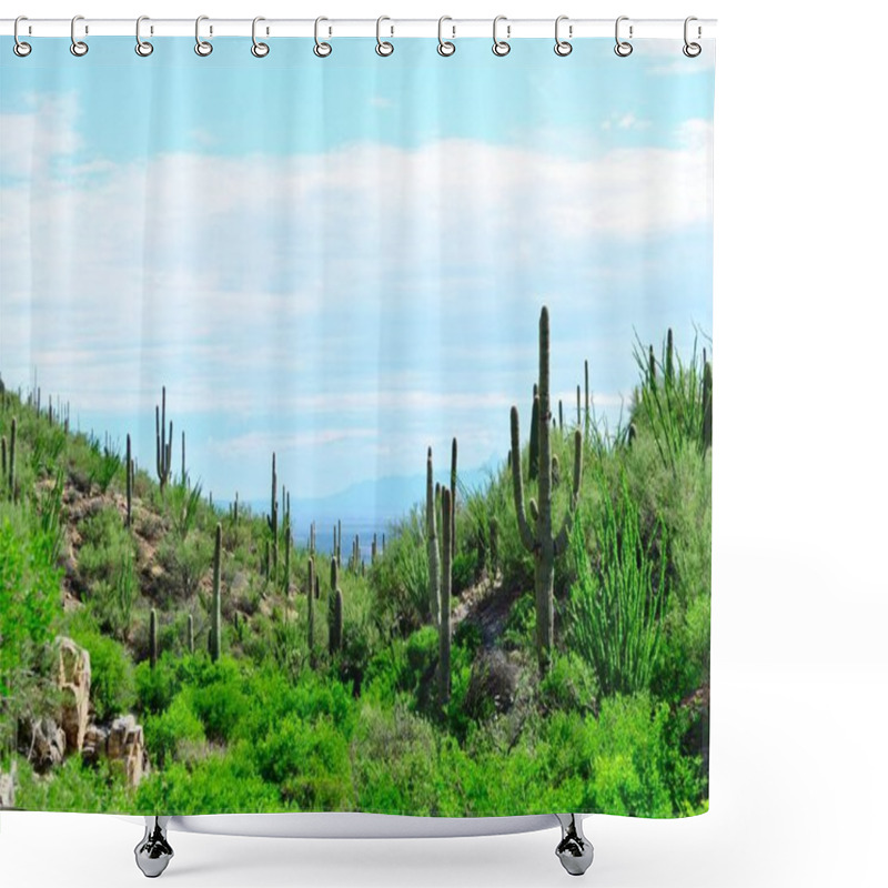 Personality  Saguaro Cactus Landscape. Saguaro National Park, Arizona. Shower Curtains