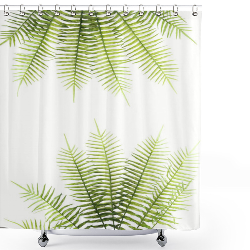 Personality  Top View Of Arranged Beautiful Green Fern Branches Isolated On White Shower Curtains