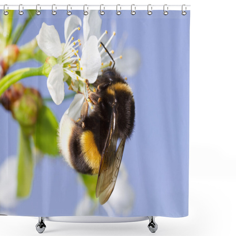 Personality  Bumblebee Shower Curtains