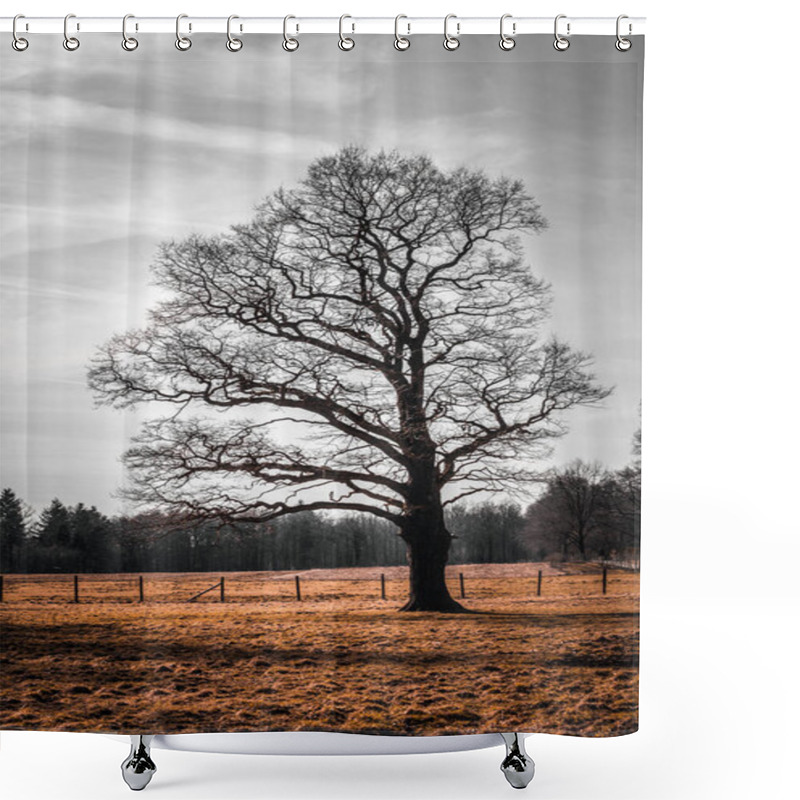 Personality  Scenic View Of Naked Old Lonely Oak In Countryside Shower Curtains