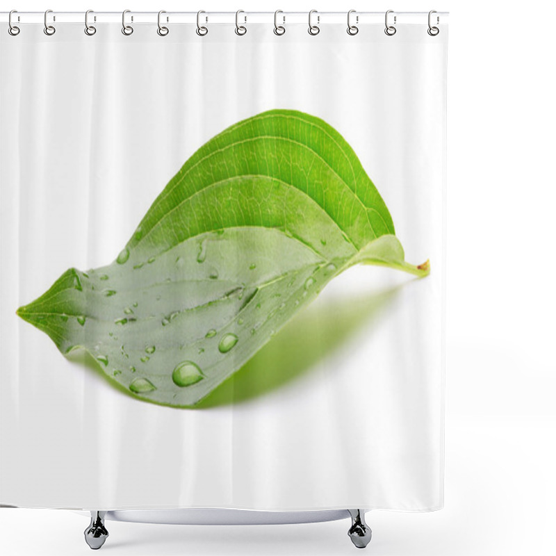 Personality  Green Leaf With Water Drops Shower Curtains