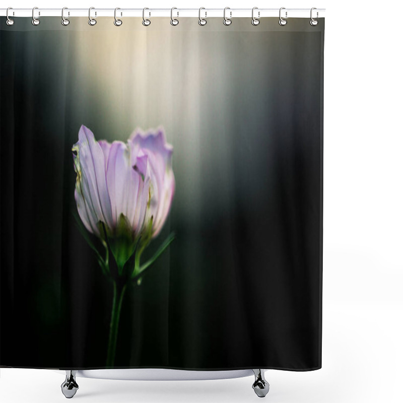 Personality  Wild Flower Close Up  Shower Curtains