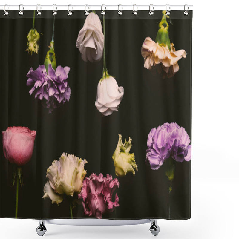 Personality  Close-up View Of Beautiful Fresh Blooming Flowers Isolated On Black  Shower Curtains